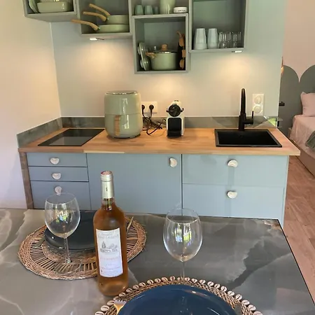 Le Lagon Bleu 5 Etoiles * Les Issambres